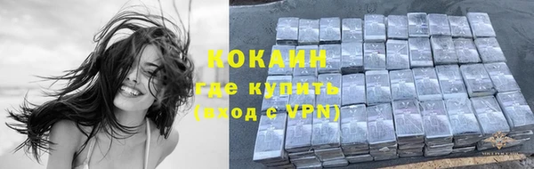 прущие грибы Михайловка