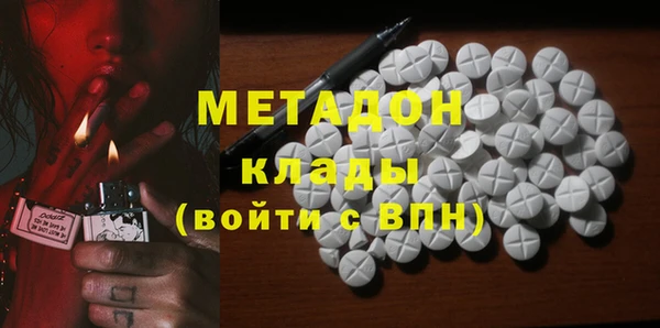 прущие грибы Михайловка