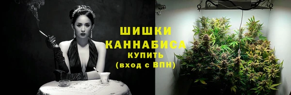 прущие грибы Михайловка