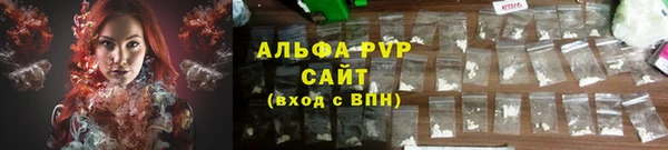 прущие грибы Михайловка