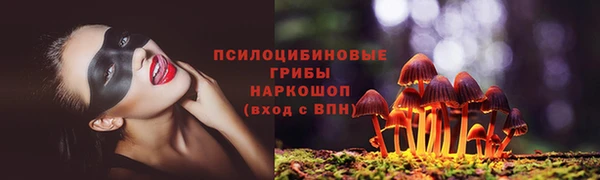 прущие грибы Михайловка