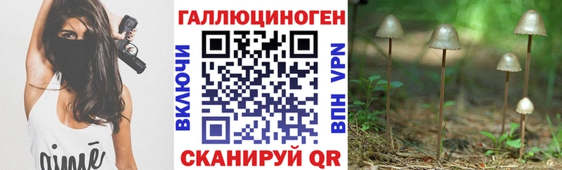 Галлюциногенные грибы мицелий  купить  сайты  Заринск 