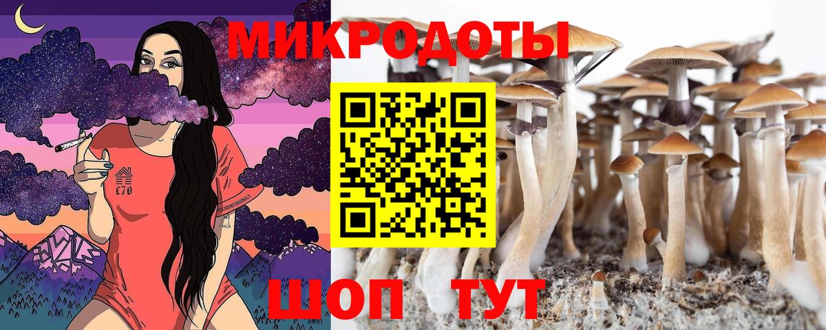Галлюциногенные грибы мухоморы  Вход с VPN  Псилоцибиновые грибы MAGIC MUSHROOMS  Заринск 